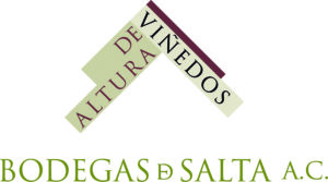 Historia natural de las rocas y el secreto de nuestros vinos