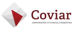 Historia natural de las rocas y el secreto de nuestros vinos