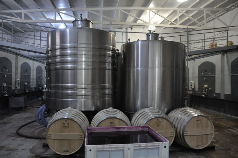 “La génesis del vino” se vivirá en Cafayate