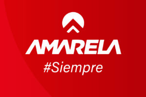 Historia natural de las rocas y el secreto de nuestros vinos