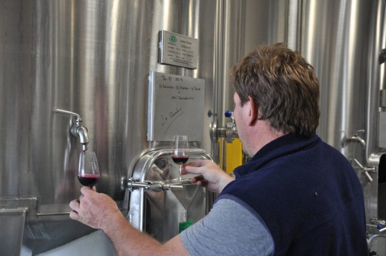 “La génesis del vino” se vivirá en Cafayate