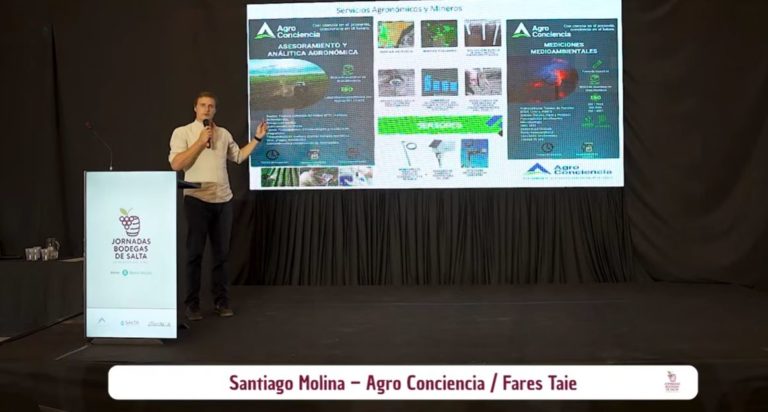 Gestión integral de viñedos diagnóstico, trazabilidad y calidad