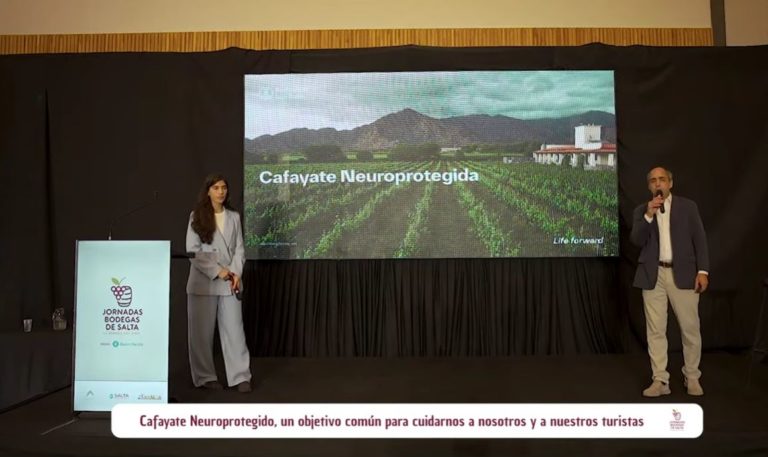 Cafayate Neuroprotegido, un objetivo común. Para cuidarnos a nosotros y a nuestros turistas