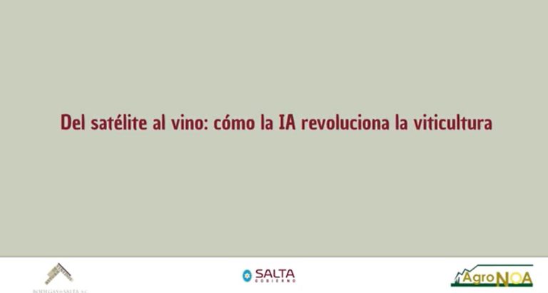 Del satélite al vino: cómo la IA revoluciona la viticultura