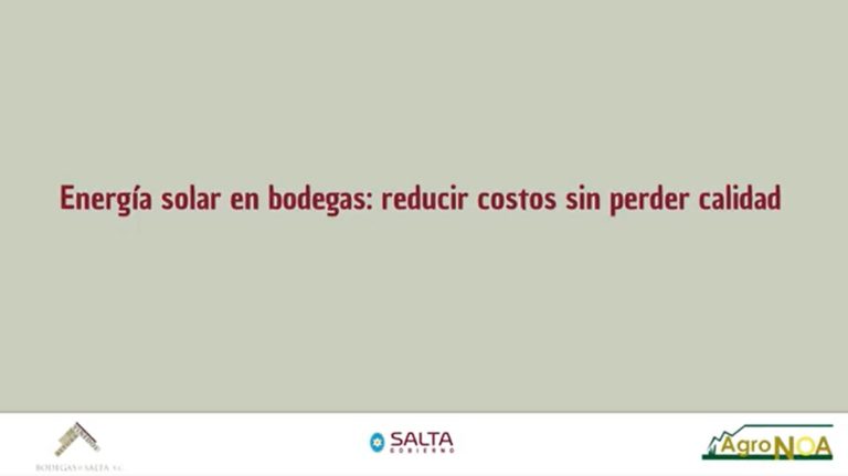 Energía solar en bodegas: reducir costos sin perder calidad