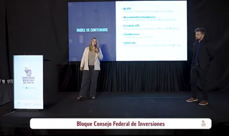 Presentación del Consejo Federal de Inversiones (CFI)