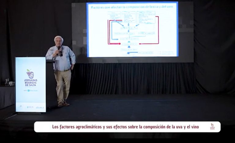 Los factores agroclimáticos y sus efectos sobre la composición de la uva y el vino