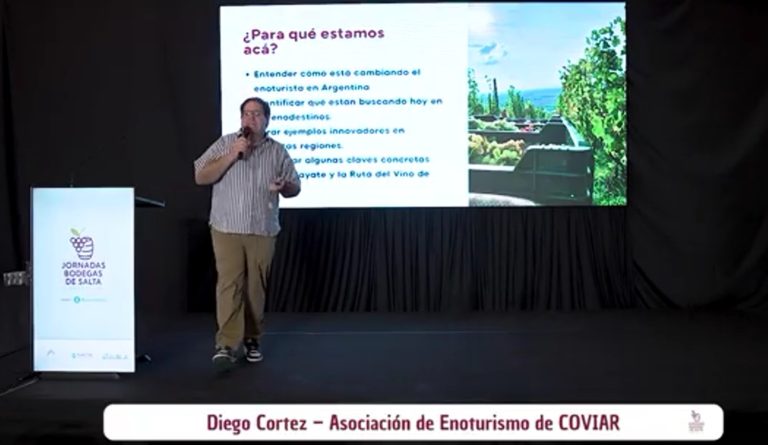 Qué buscan hoy los visitantes en los enodestinos argentinos